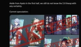 原神2.6池子最新爆料,神秘角色登场，元素组合再升级！